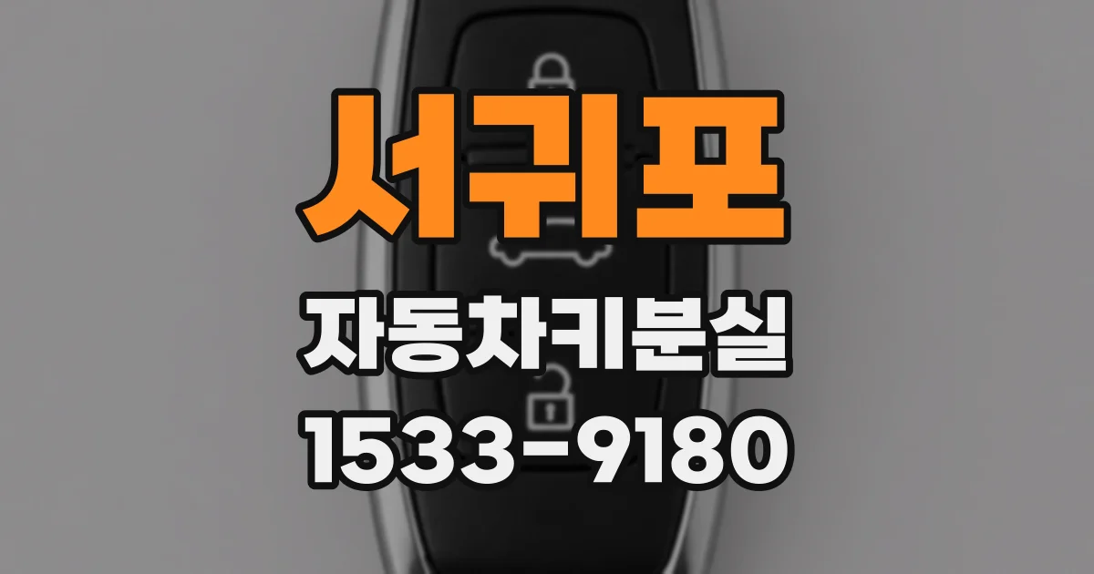 서귀포 자동차키분실