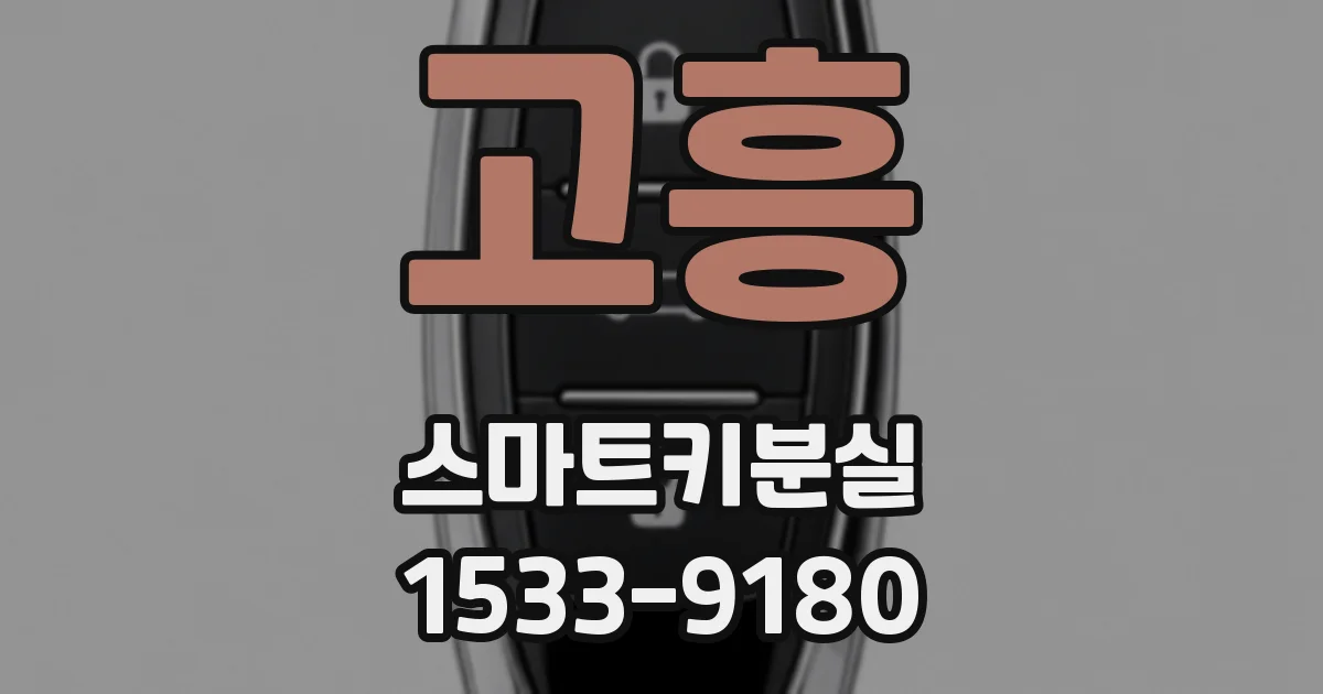 고흥 스마트키분실