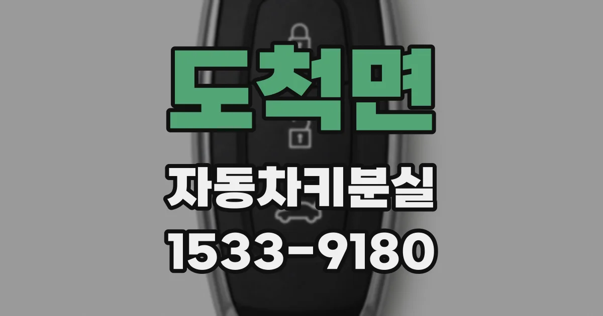 도척면 자동차키분실