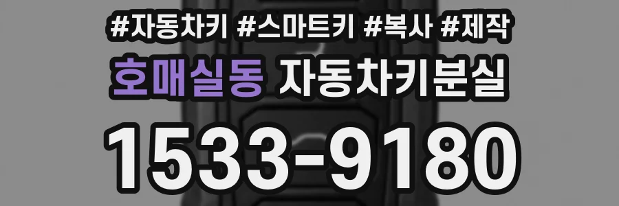 호매실동 자동차키분실