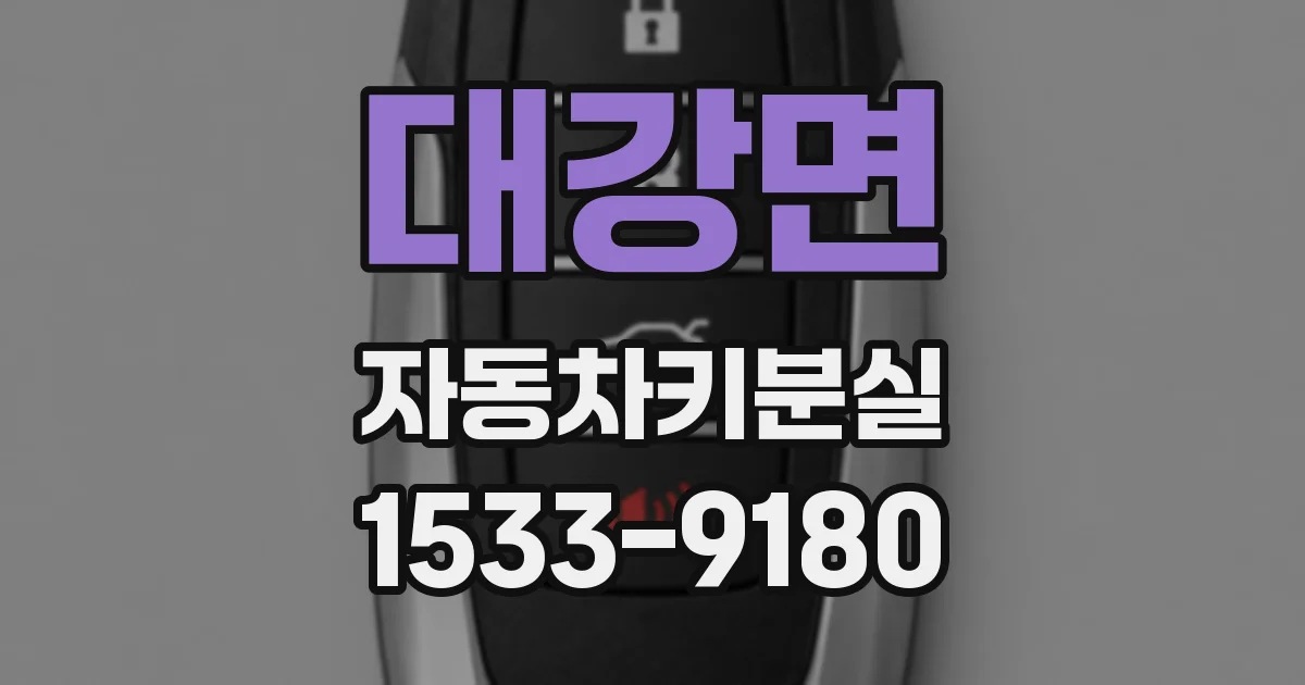 대강면 자동차키분실