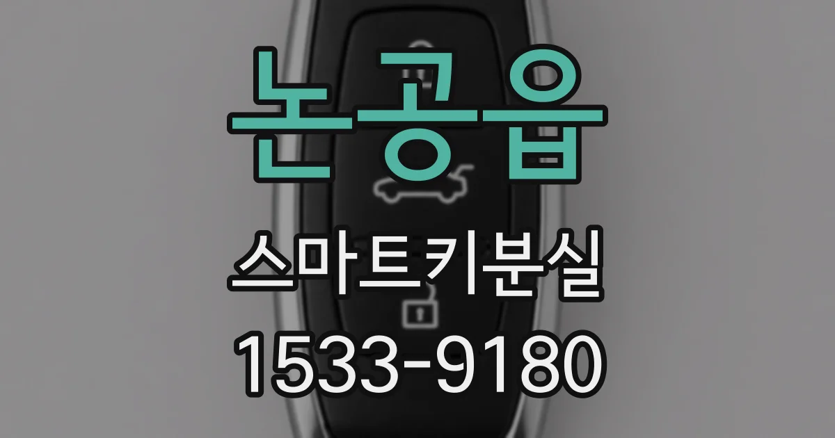 논공읍 스마트키분실