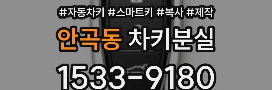 안곡동 차키분실