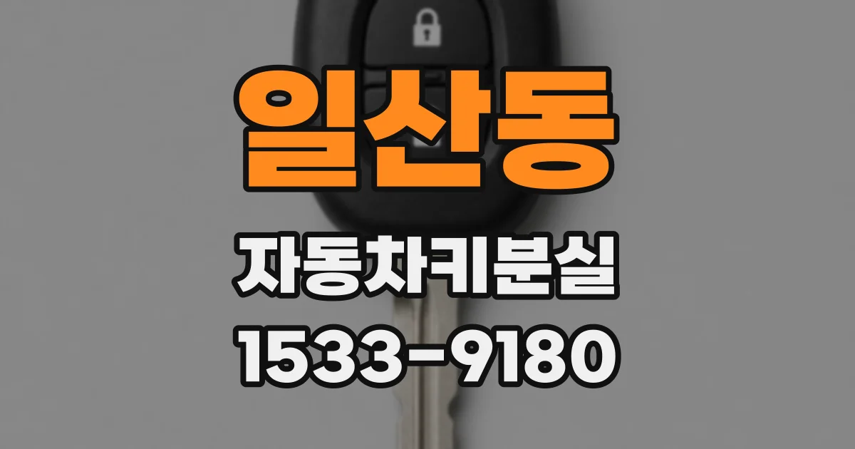일산동 자동차키분실