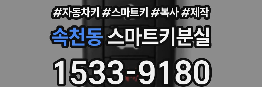 속천동 스마트키분실