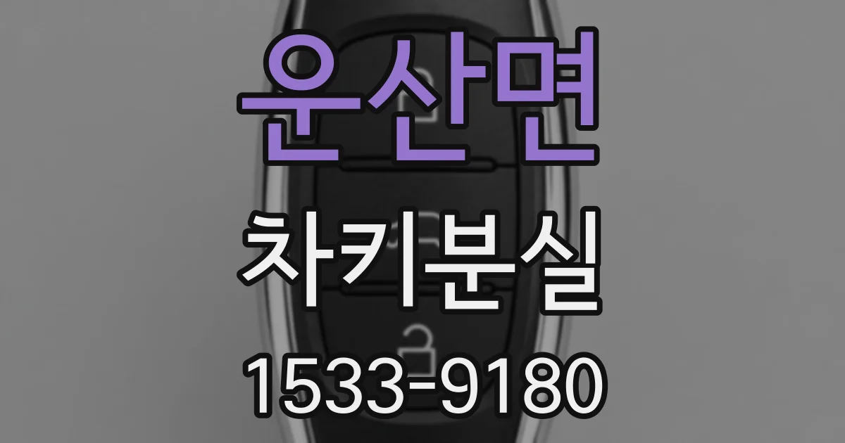 운산면 차키분실