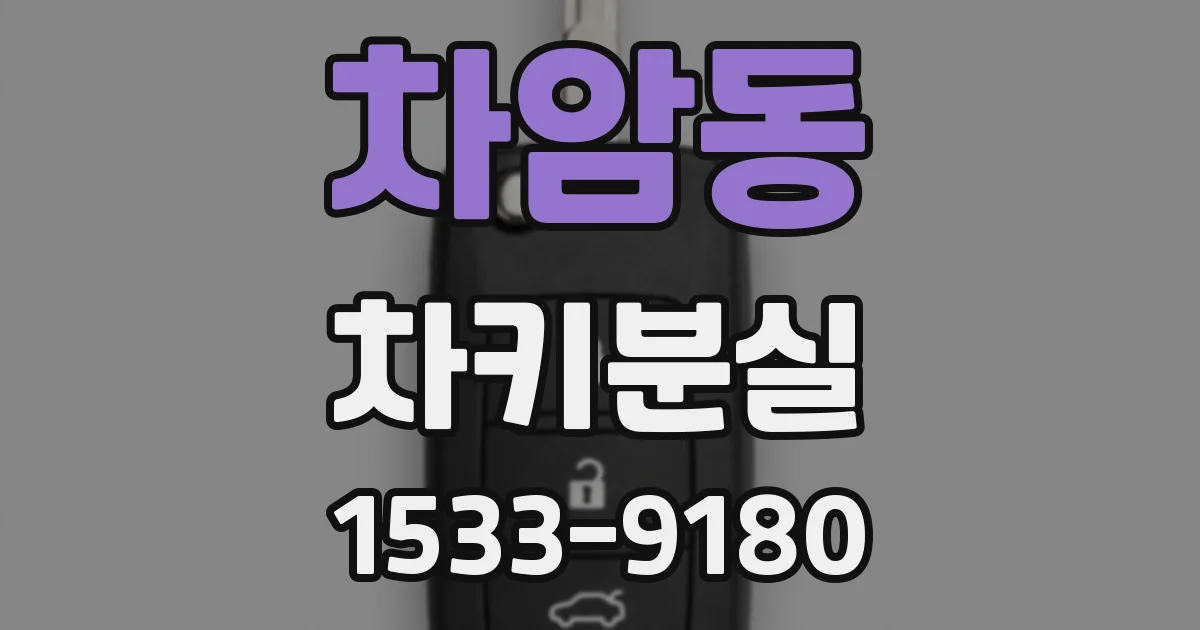 차암동 차키분실