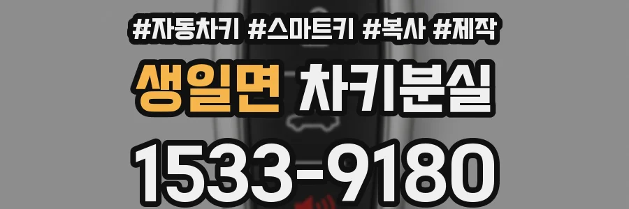 생일면 차키분실
