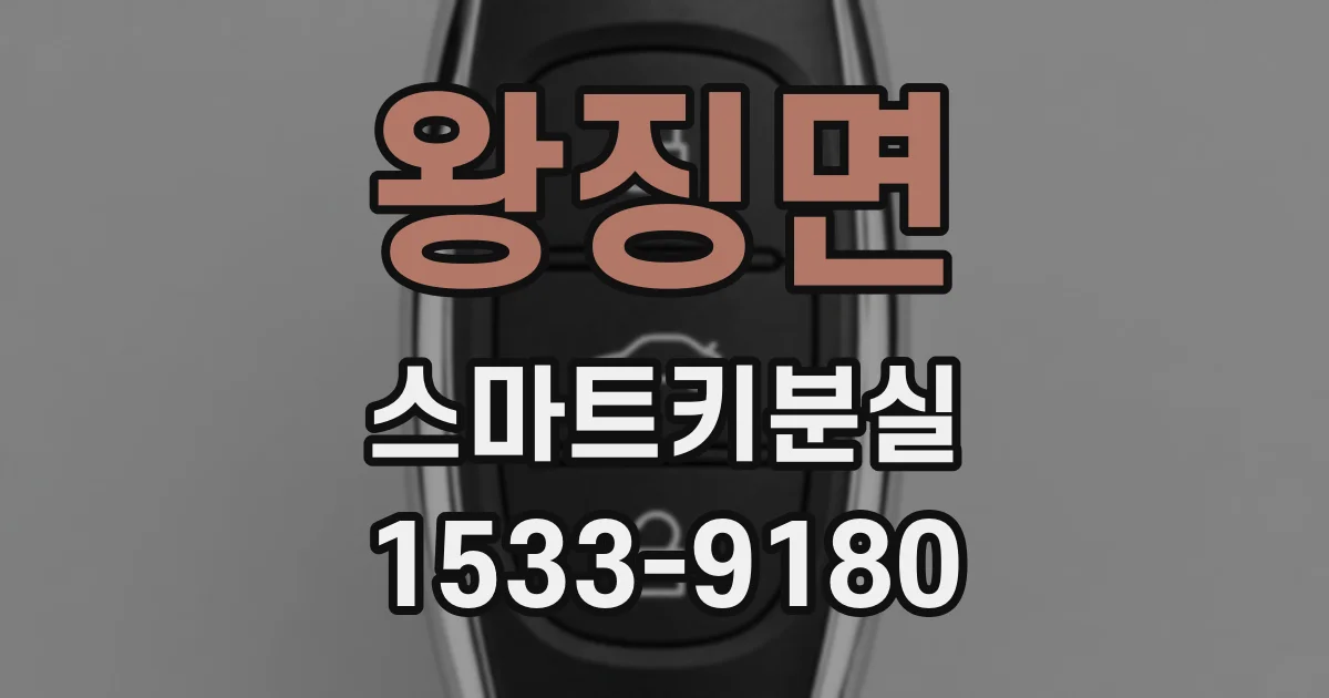 왕징면 스마트키분실