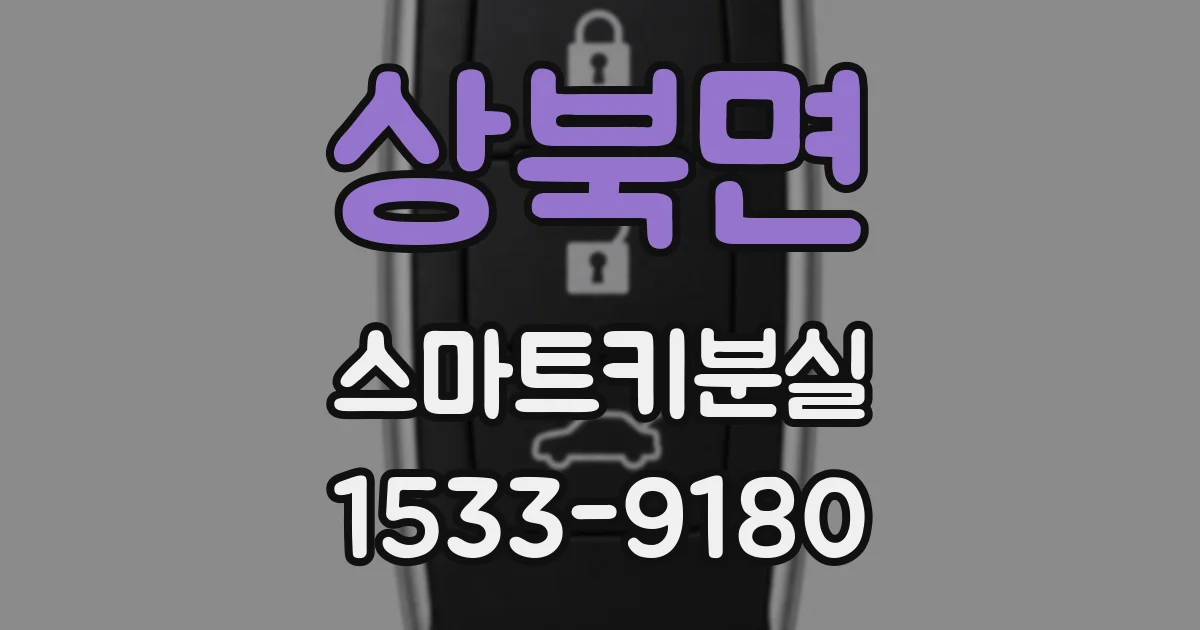상북면 스마트키분실