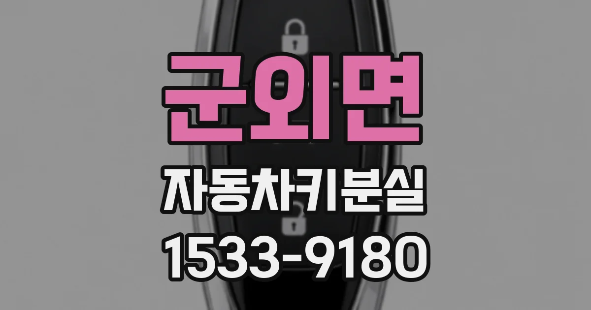군외면 자동차키분실