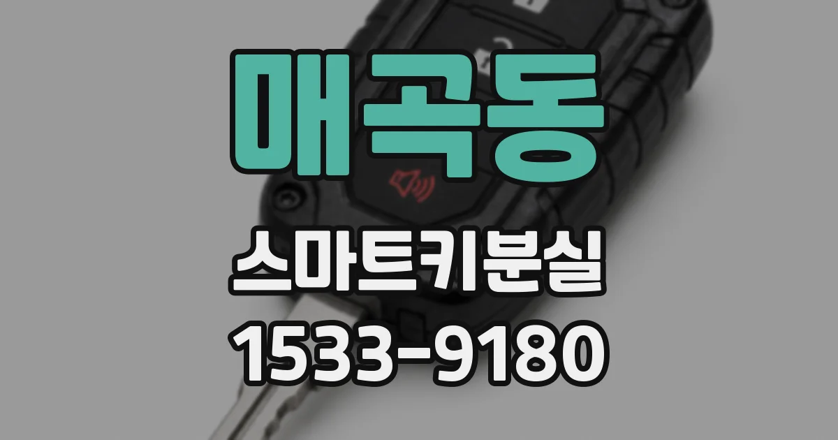 매곡동 스마트키분실