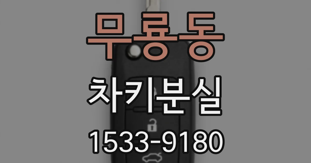무룡동 차키분실
