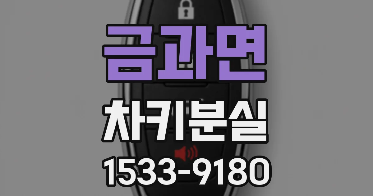 금과면 차키분실