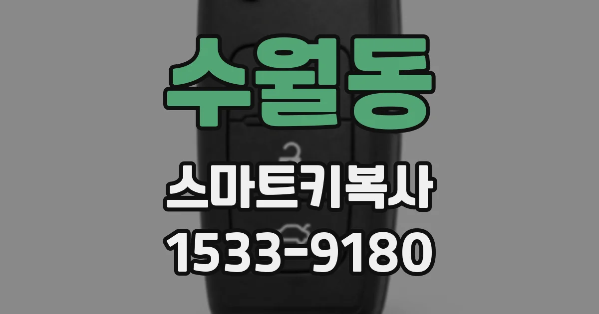 수월동 스마트키복사