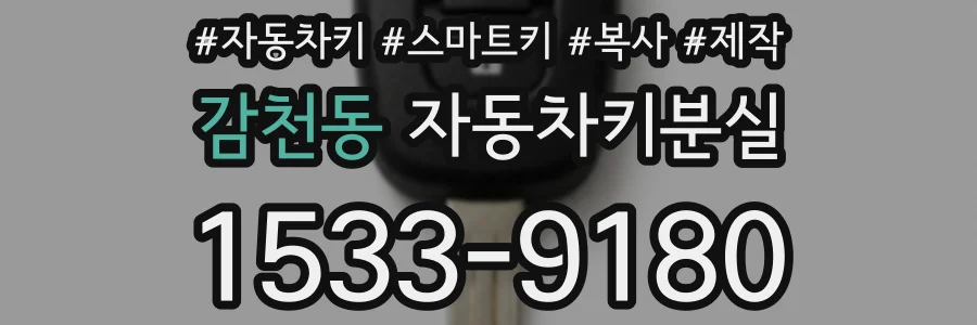 감천동 자동차키분실