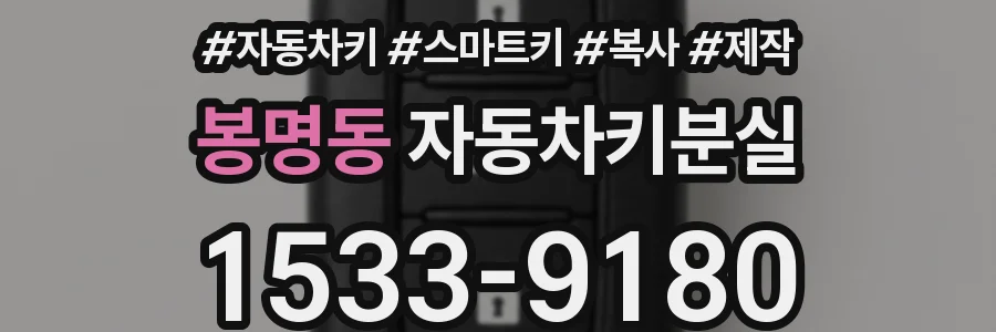 봉명동 자동차키분실