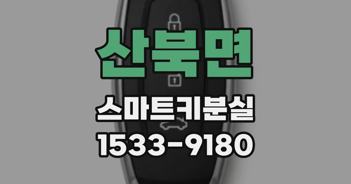 산북면 스마트키분실