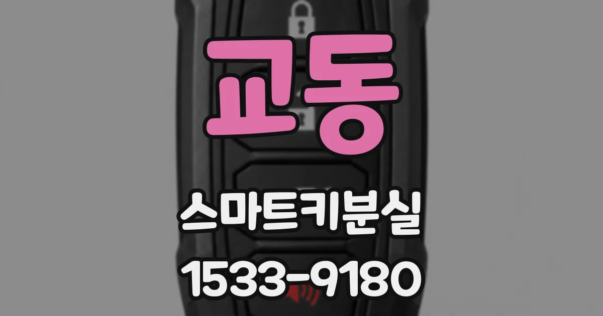 교동 스마트키분실