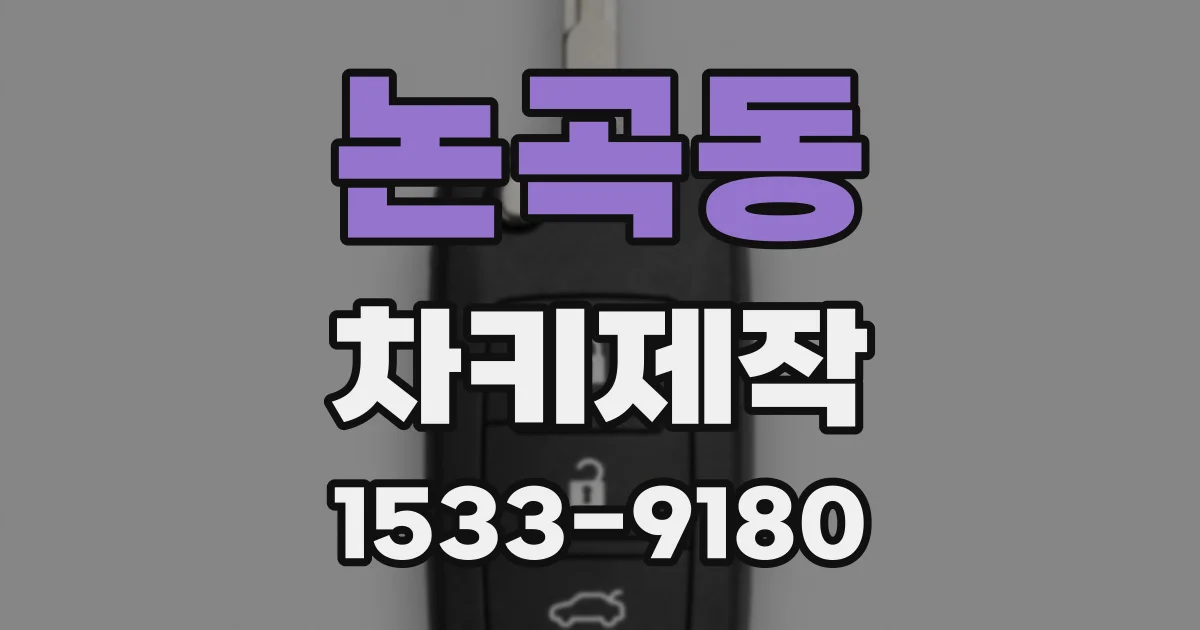 논곡동 차키제작
