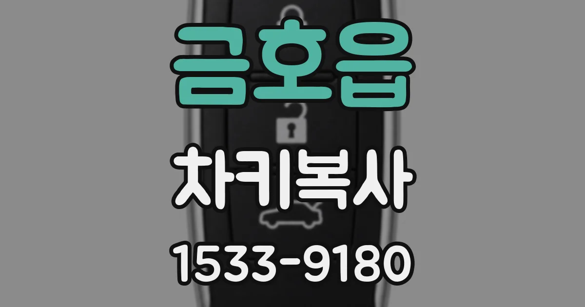 금호읍 차키복사