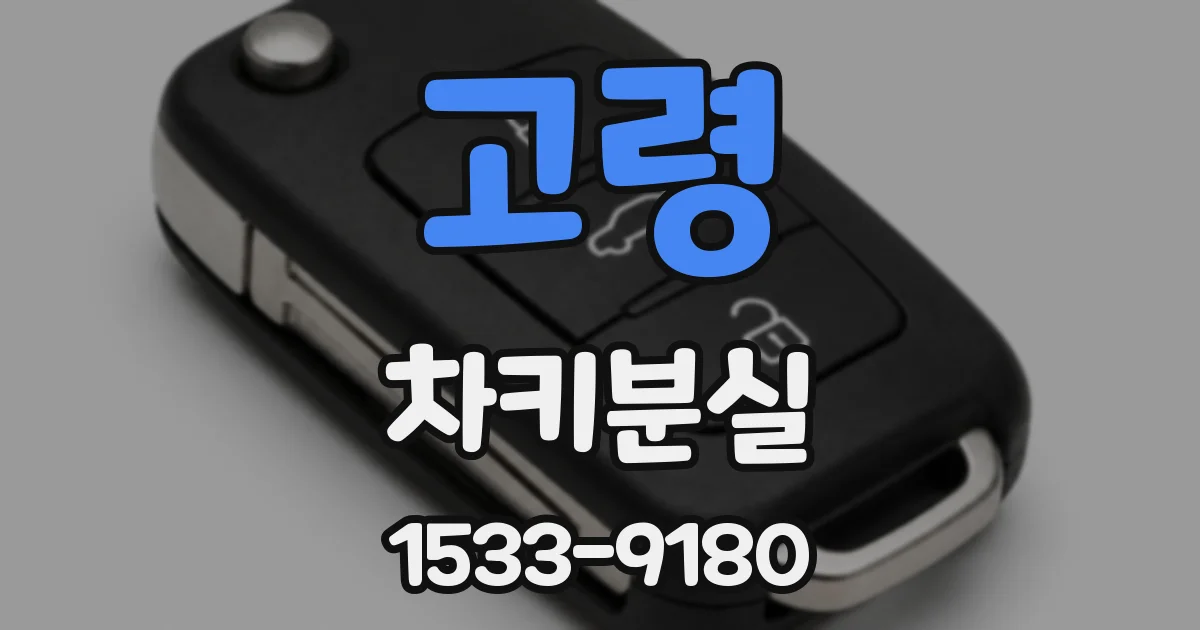 고령 차키분실