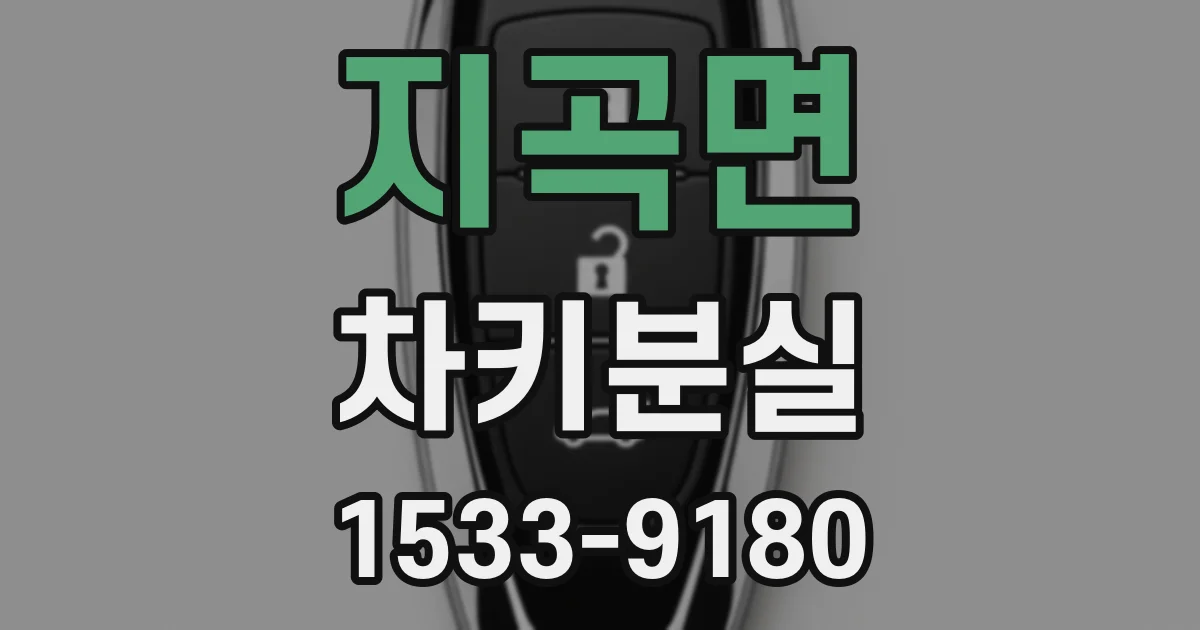 지곡면 차키분실