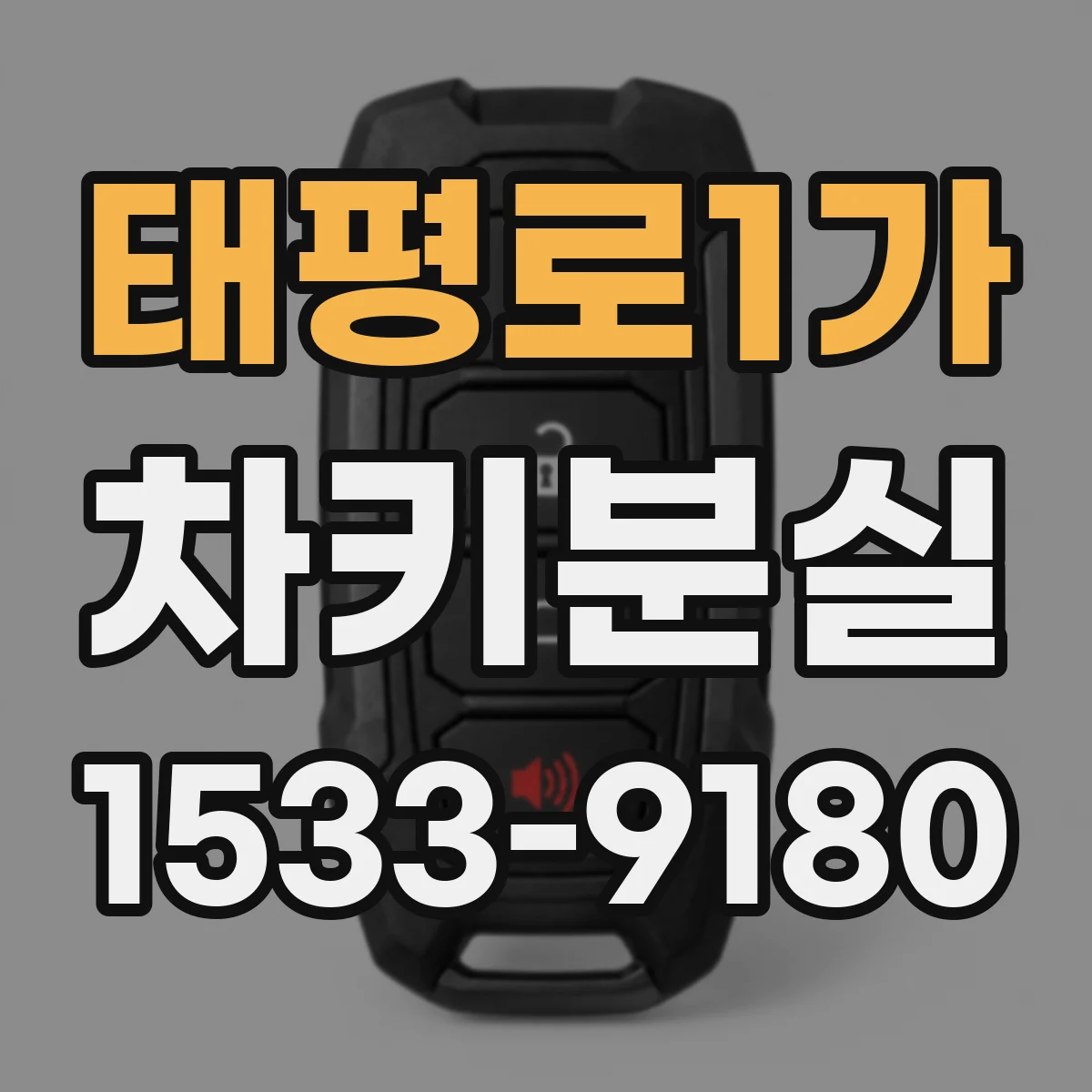 태평로1가 차키분실