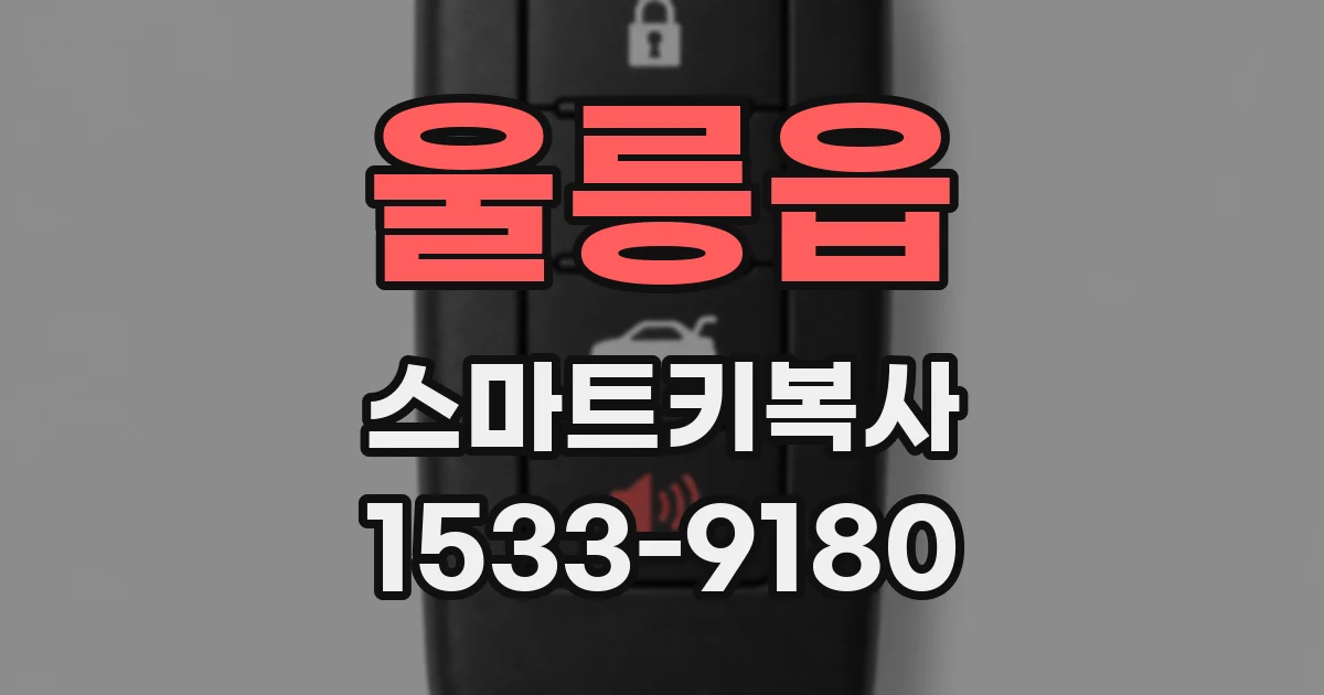 울릉읍 스마트키복사