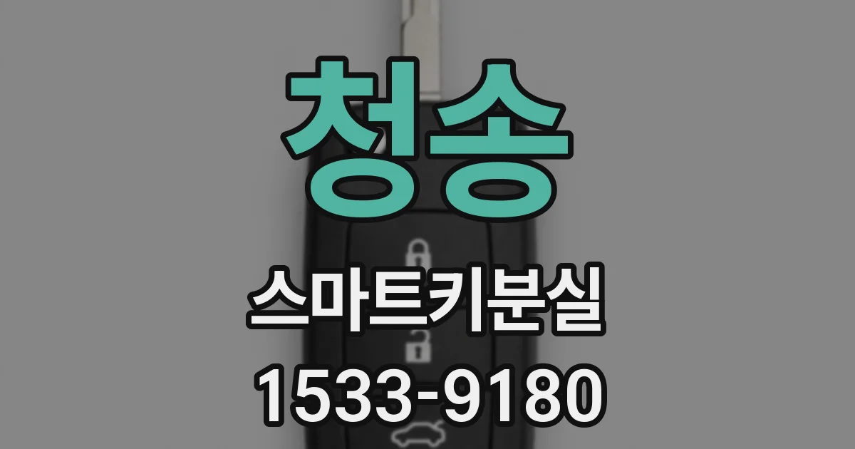 청송 스마트키분실