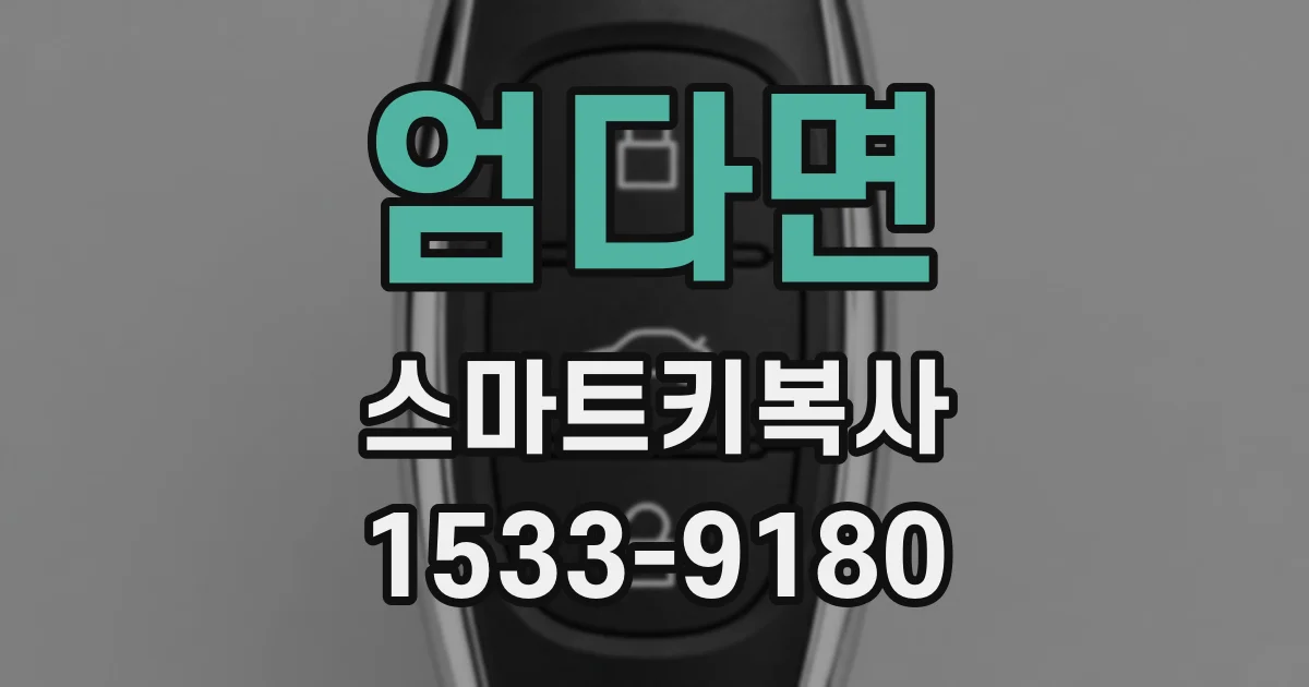 엄다면 스마트키복사