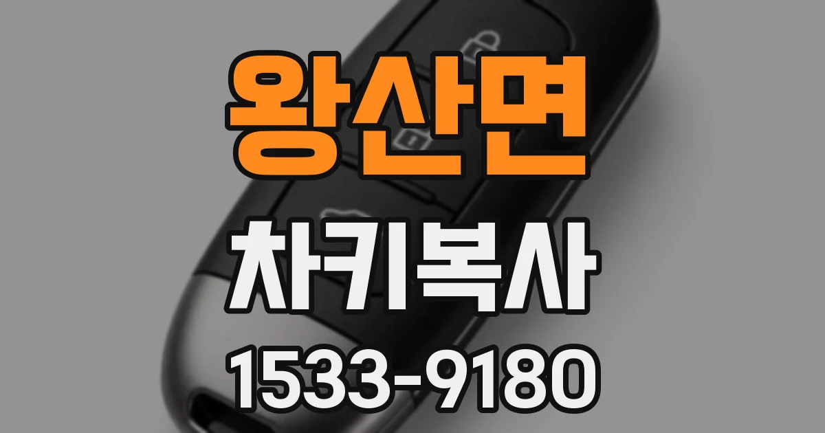 왕산면 차키복사