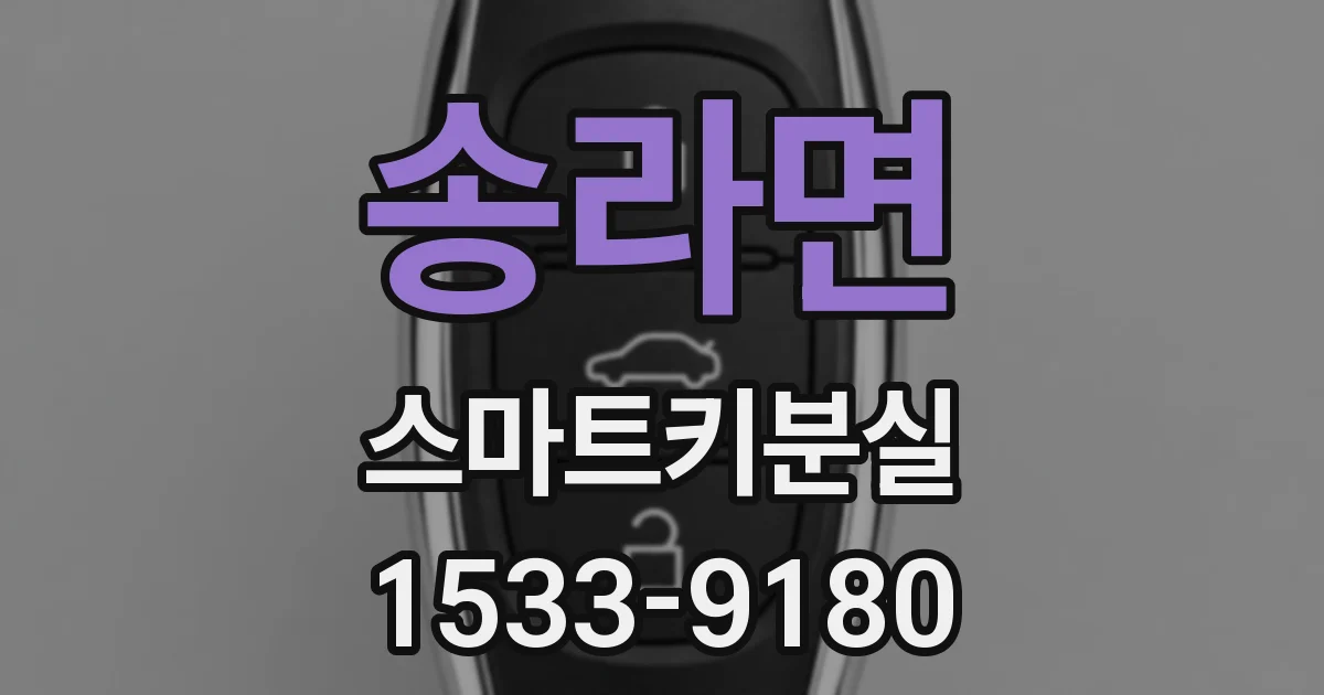 송라면 스마트키분실