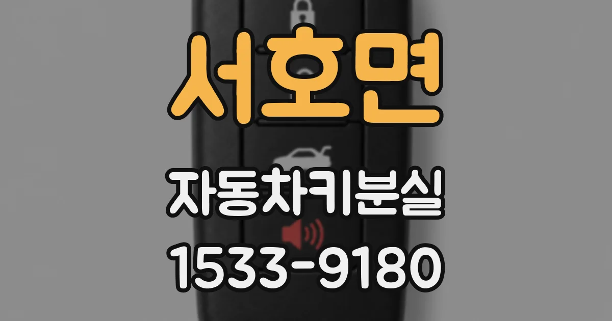 서호면 자동차키분실