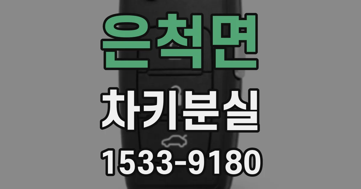 은척면 차키분실