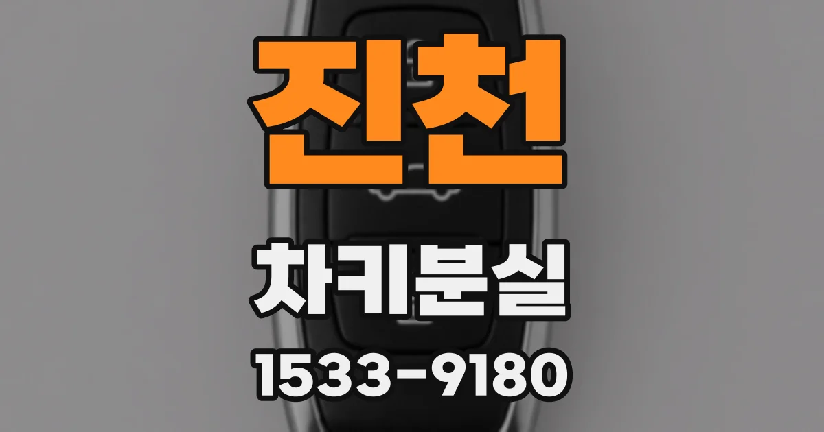 진천 차키분실