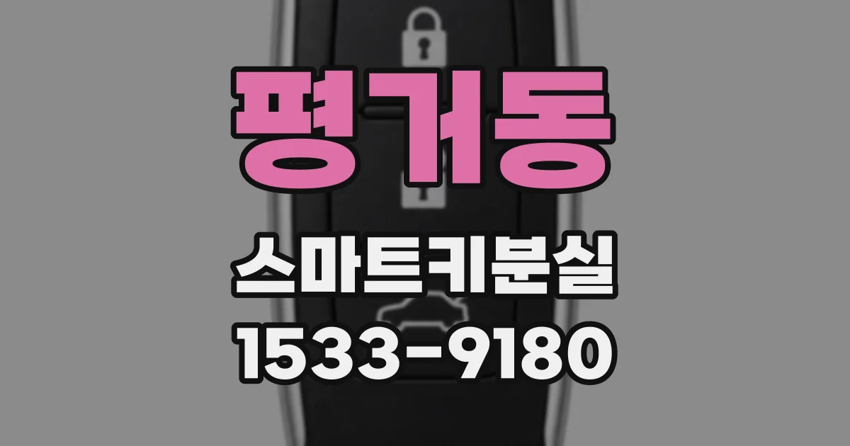 평거동 스마트키분실