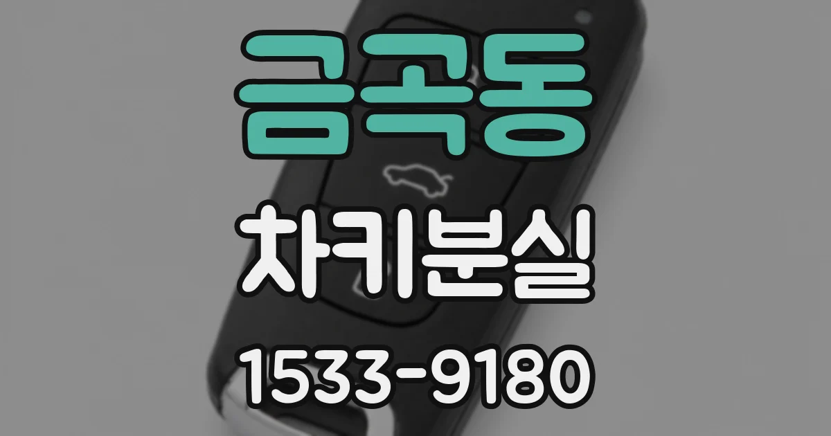 금곡동 차키분실
