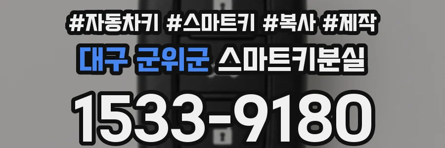 대구 군위군 스마트키분실