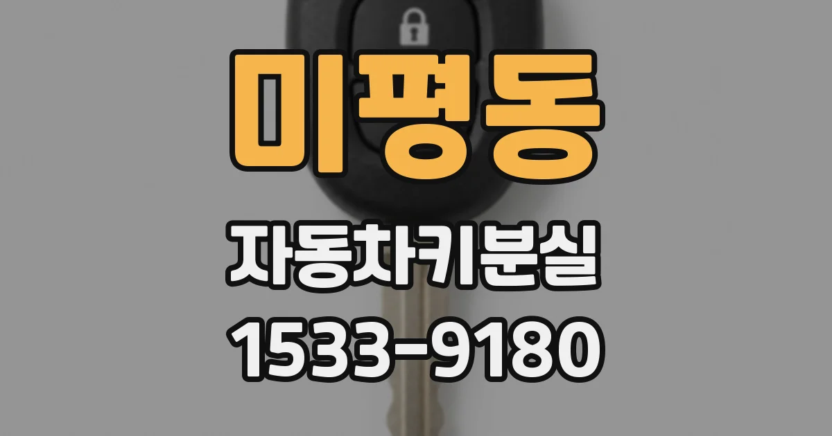 미평동 자동차키분실