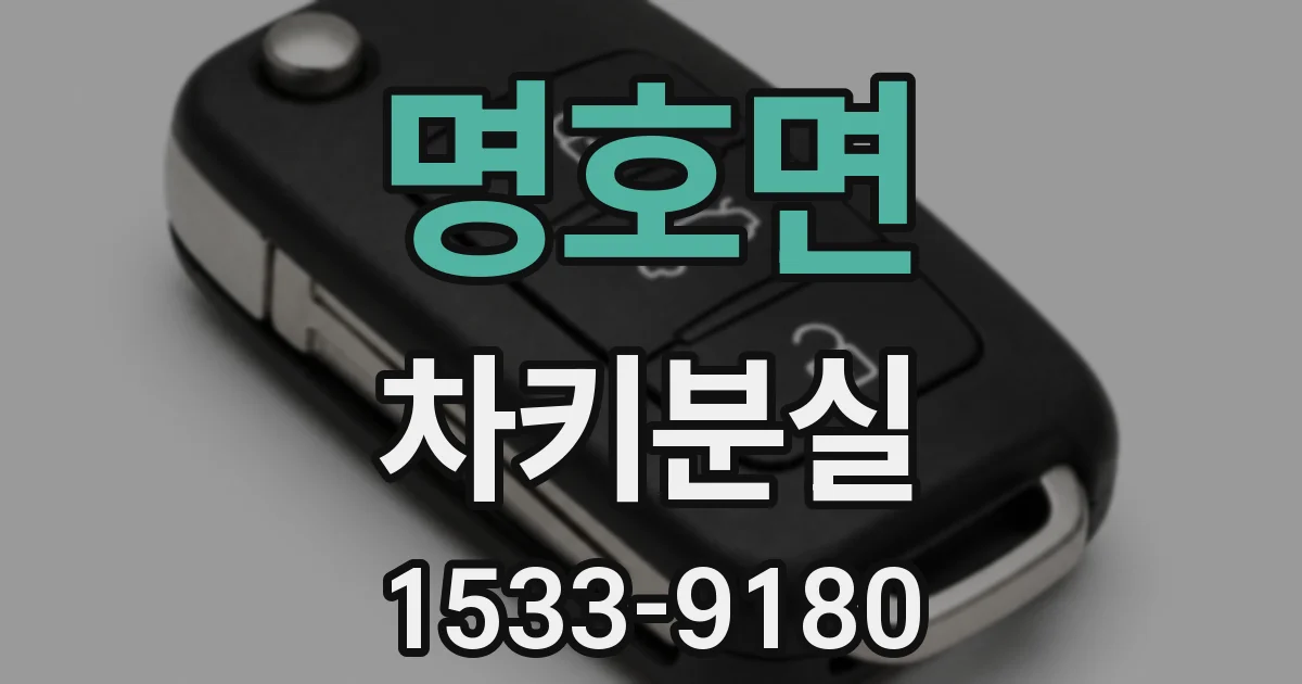 명호면 차키분실
