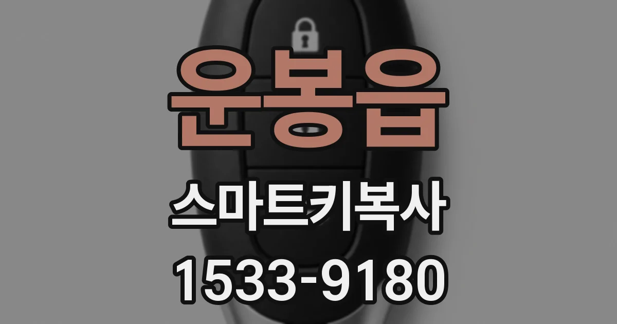운봉읍 스마트키복사
