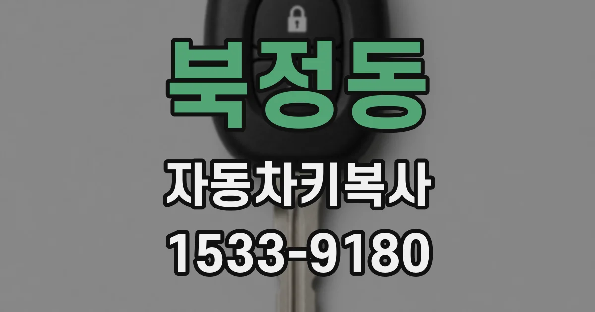 북정동 자동차키복사