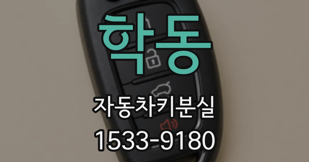 학동 자동차키분실