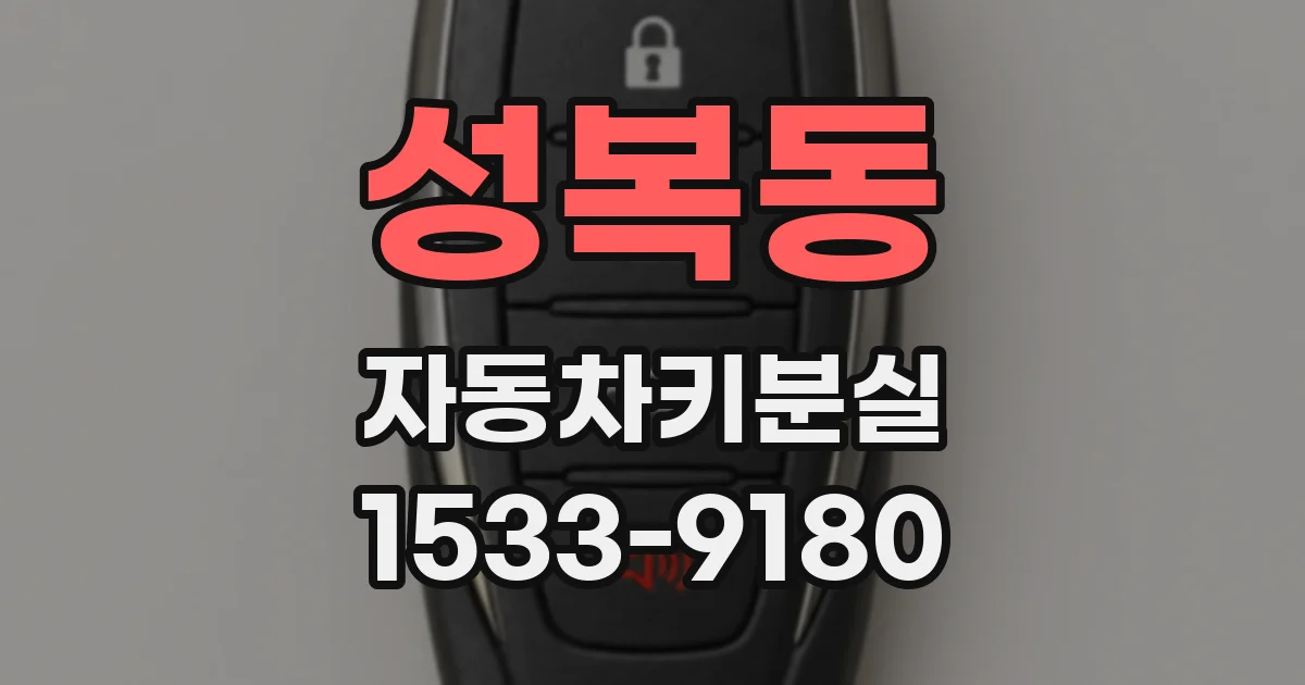 성복동 자동차키분실