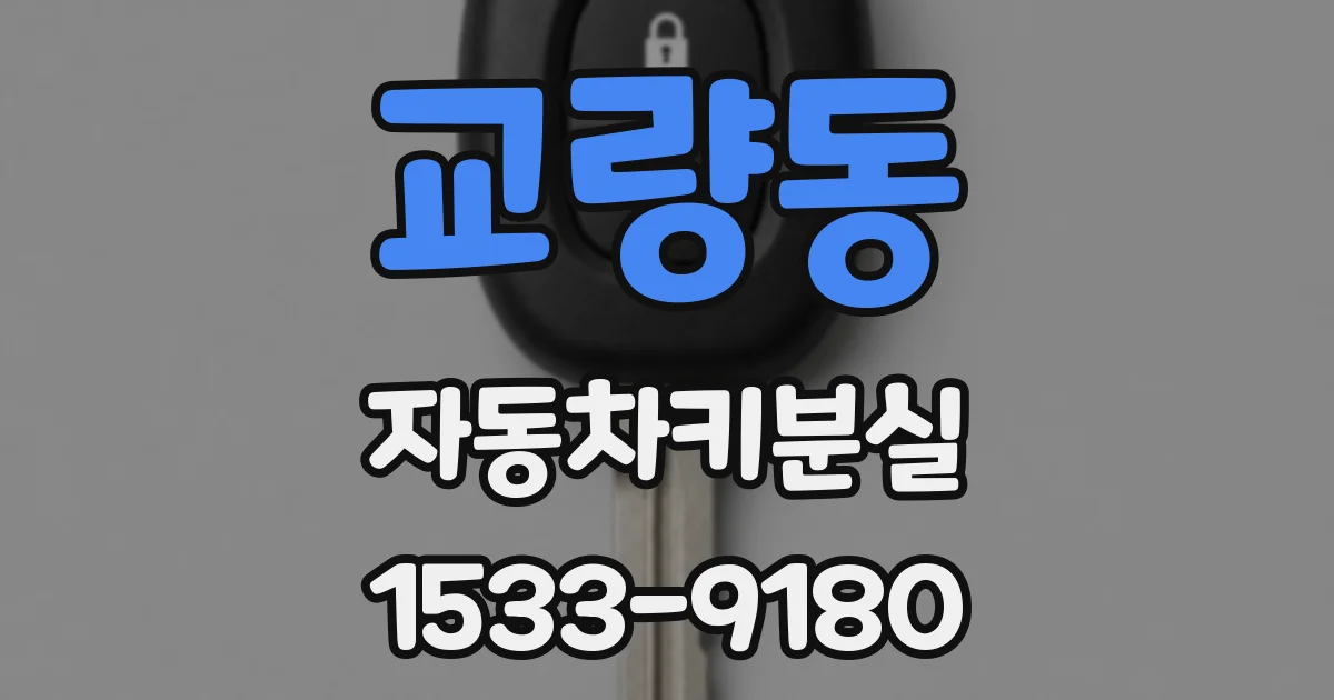 교량동 자동차키분실