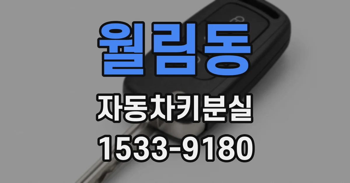 월림동 자동차키분실