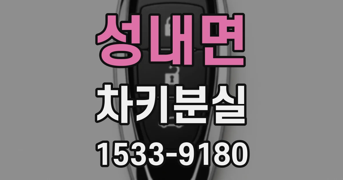 성내면 차키분실