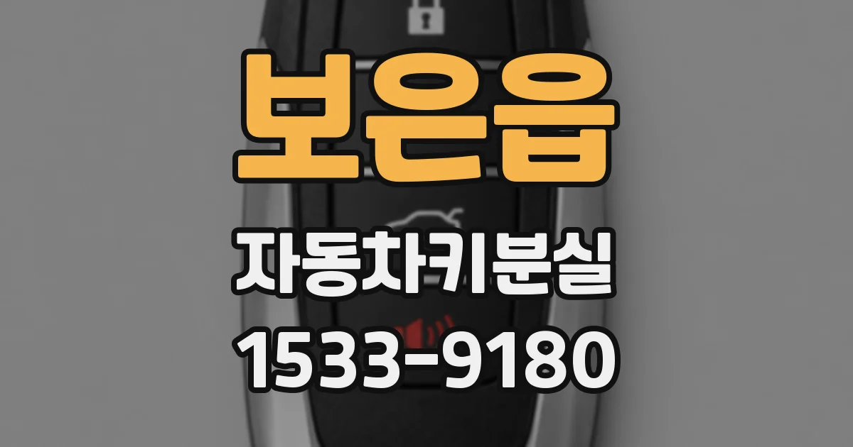 보은읍 자동차키분실