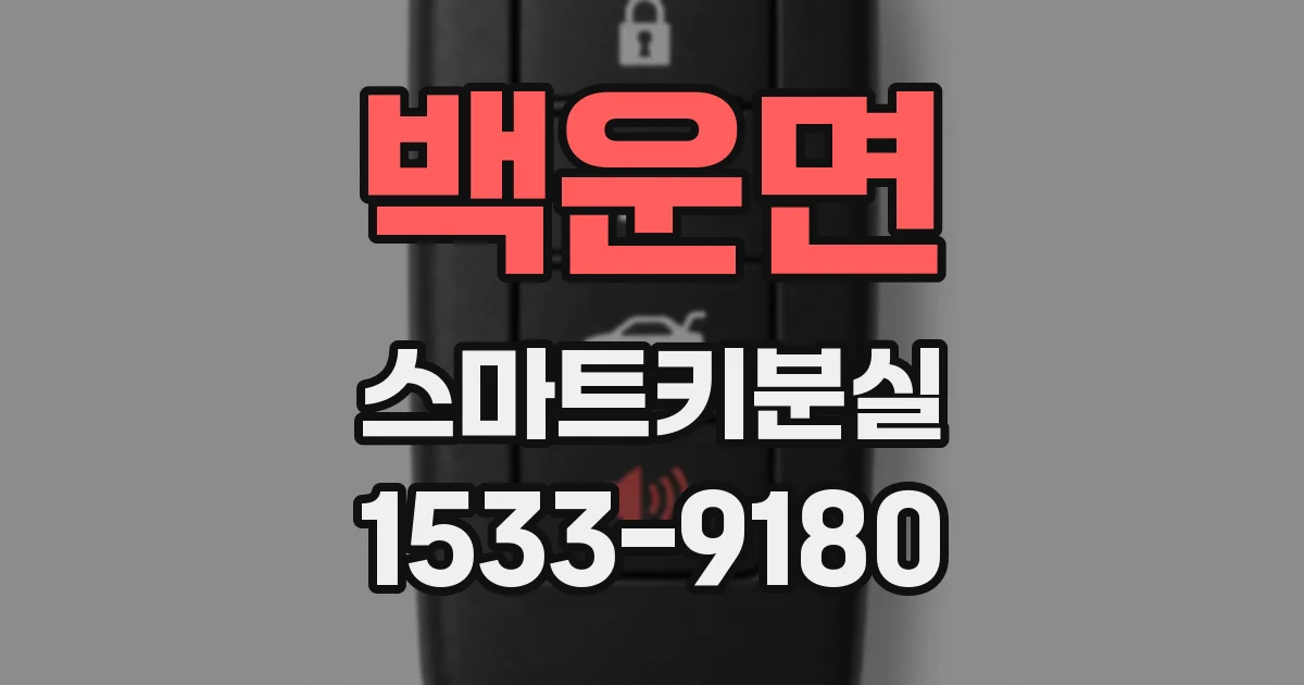 백운면 스마트키분실